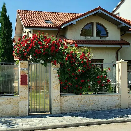 Granada 艾福雷诺德